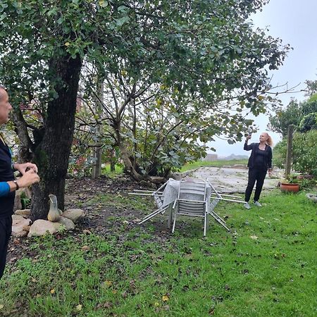 Alojamiento Casa Carlota Villadesuso Exteriér fotografie