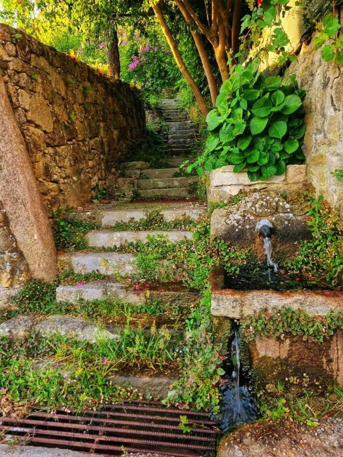 Alojamiento Casa Carlota Villadesuso Exteriér fotografie