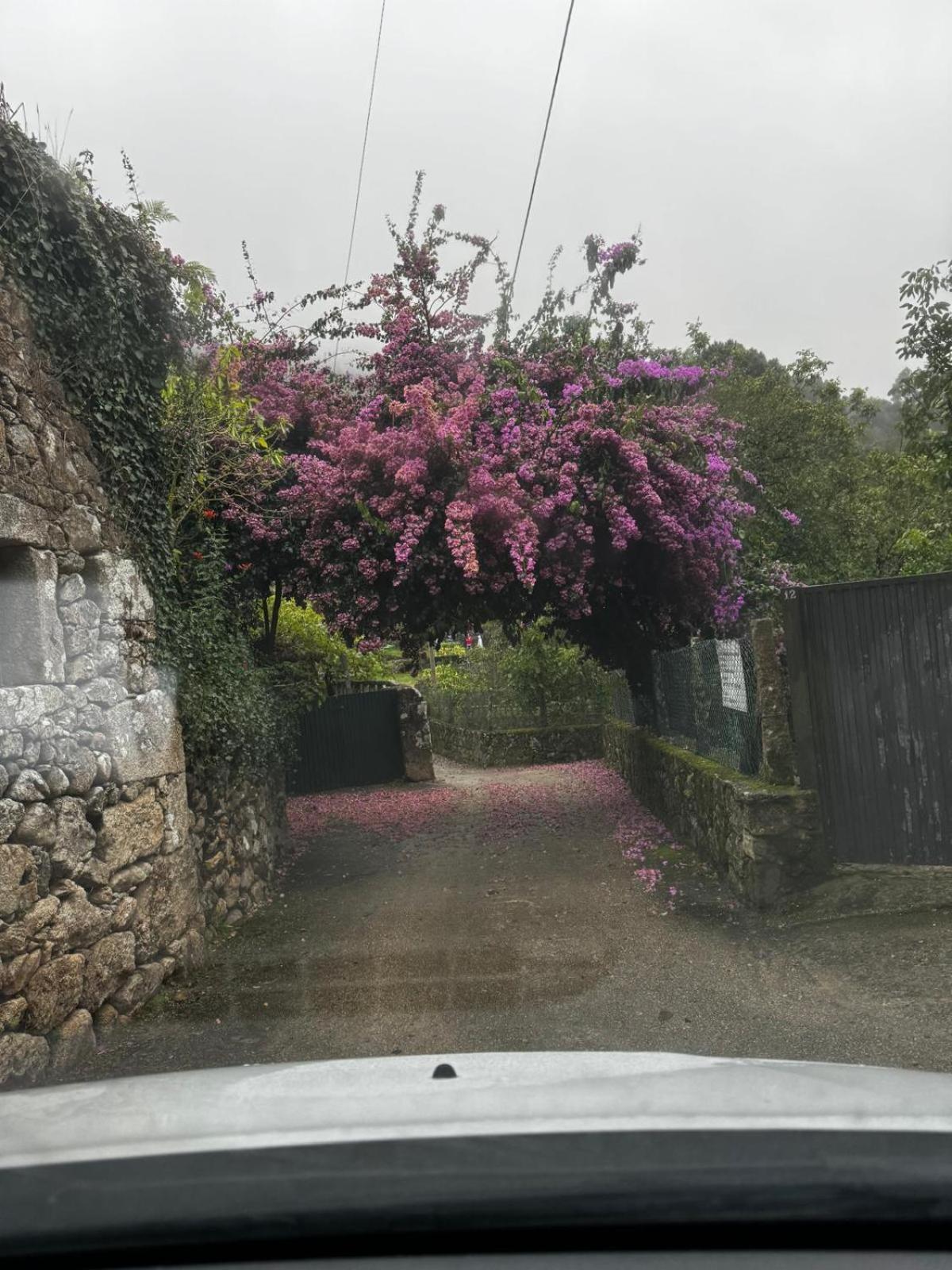 Alojamiento Casa Carlota Villadesuso Exteriér fotografie